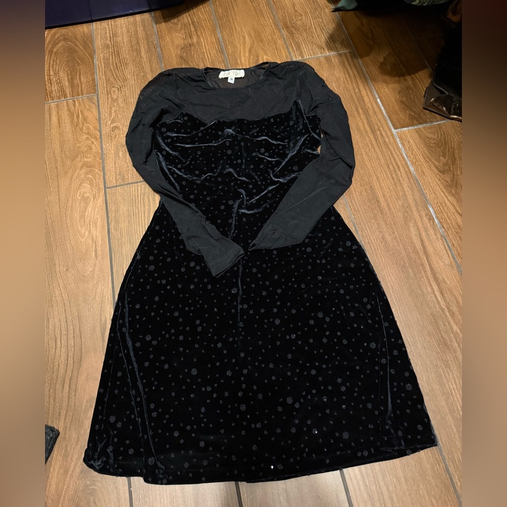 Caché Black Mesh and Velvet Dress